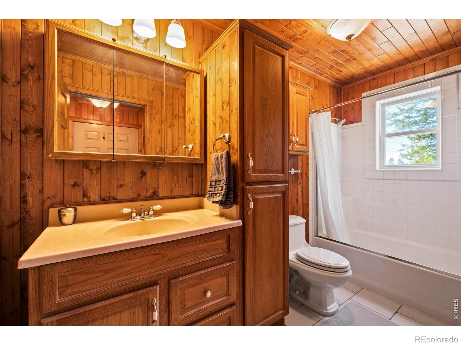 241 Mattapony Way Red Feather Lakes CO 80545