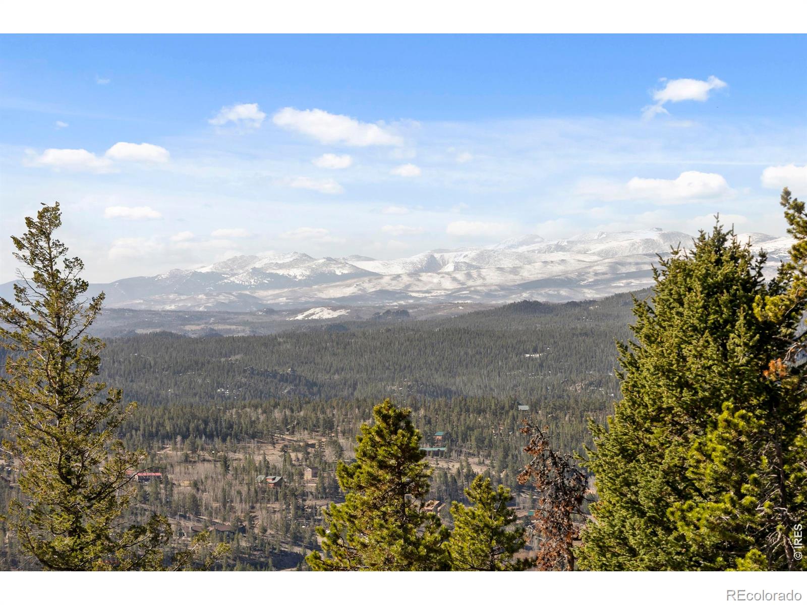 241 Mattapony Way Red Feather Lakes CO 80545