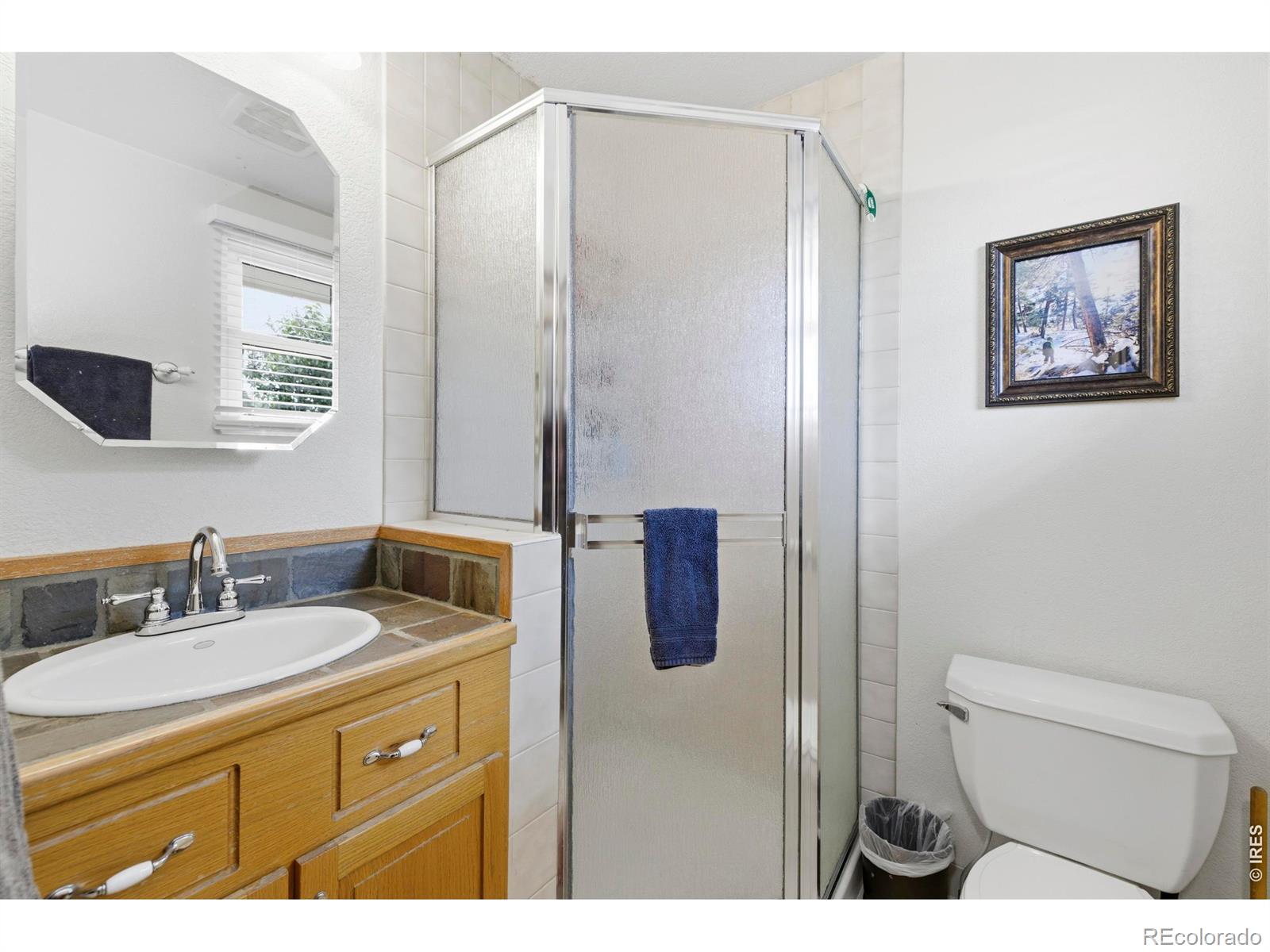 3909 Goodell Lane Fort Collins CO 80526