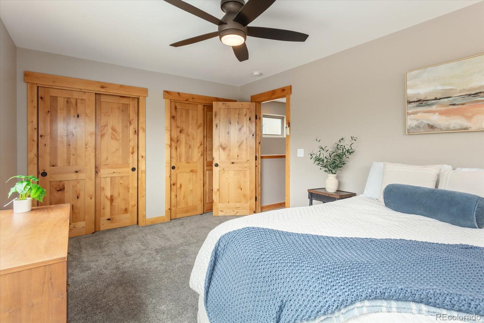 463 California Street Buena Vista CO 81211