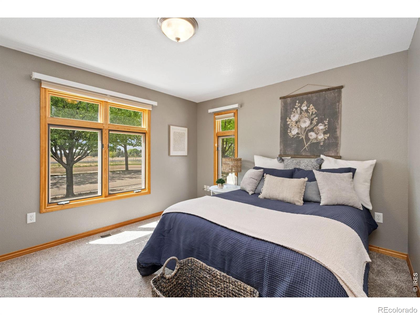2138 Maid Marian Court Fort Collins CO 80524