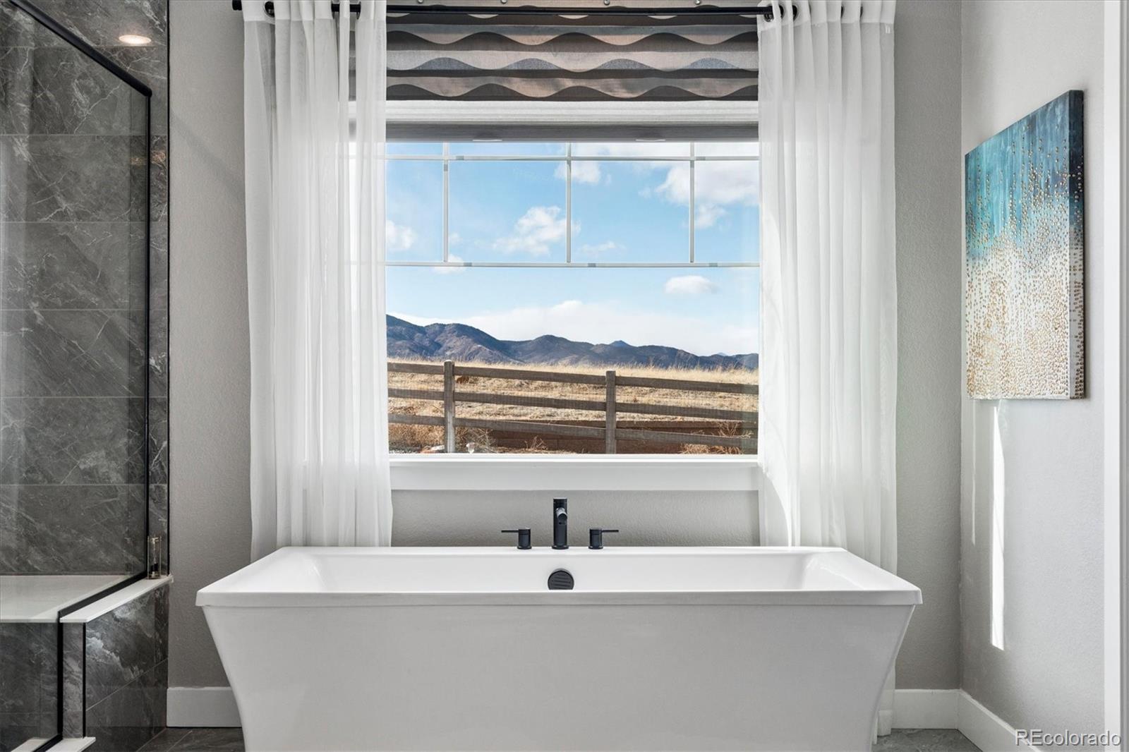 8507 Hotchkiss Loop Littleton CO 80125
