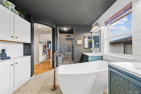 10528 Applebrook Circle Highlands Ranch CO 80130