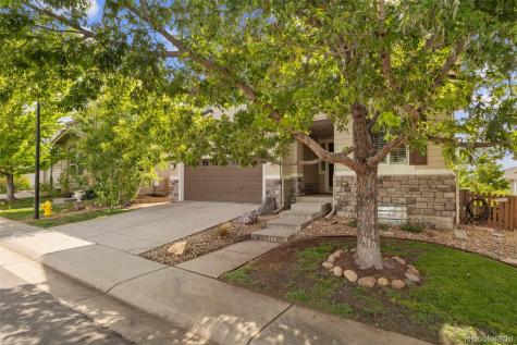 10528 Applebrook Circle Highlands Ranch CO 80130