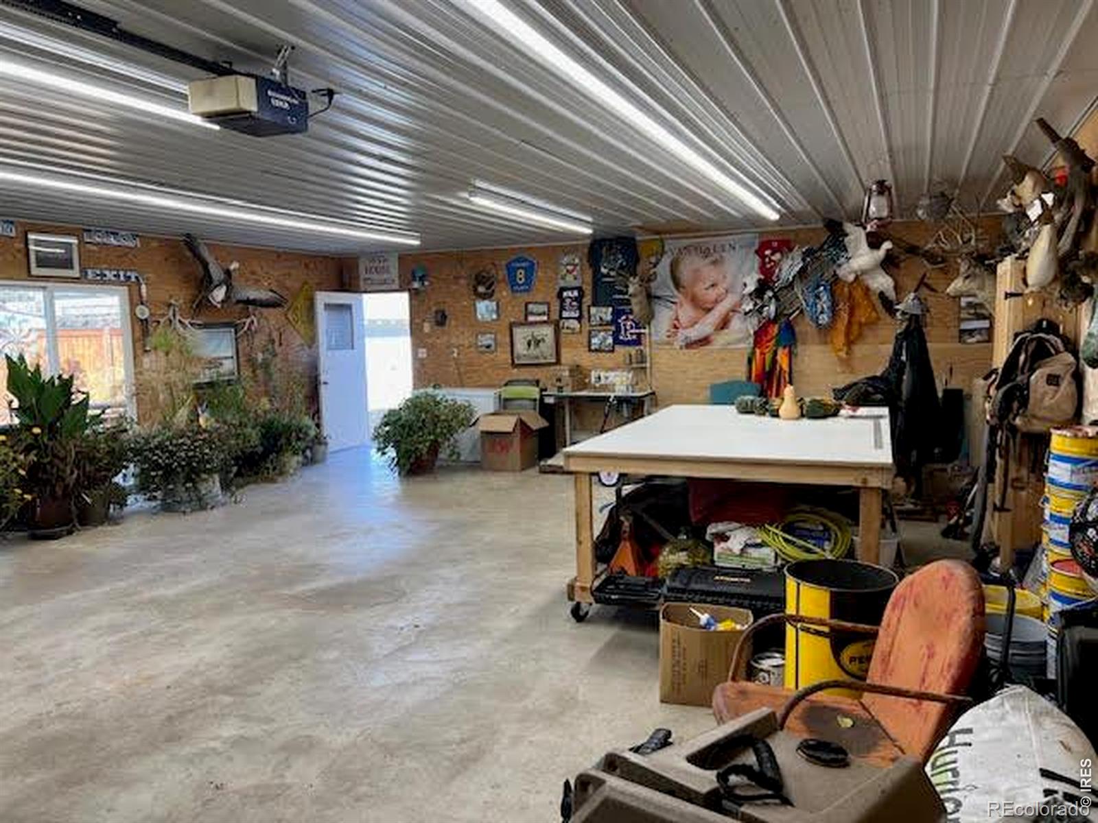 805 Walnut Street Windsor CO 80550