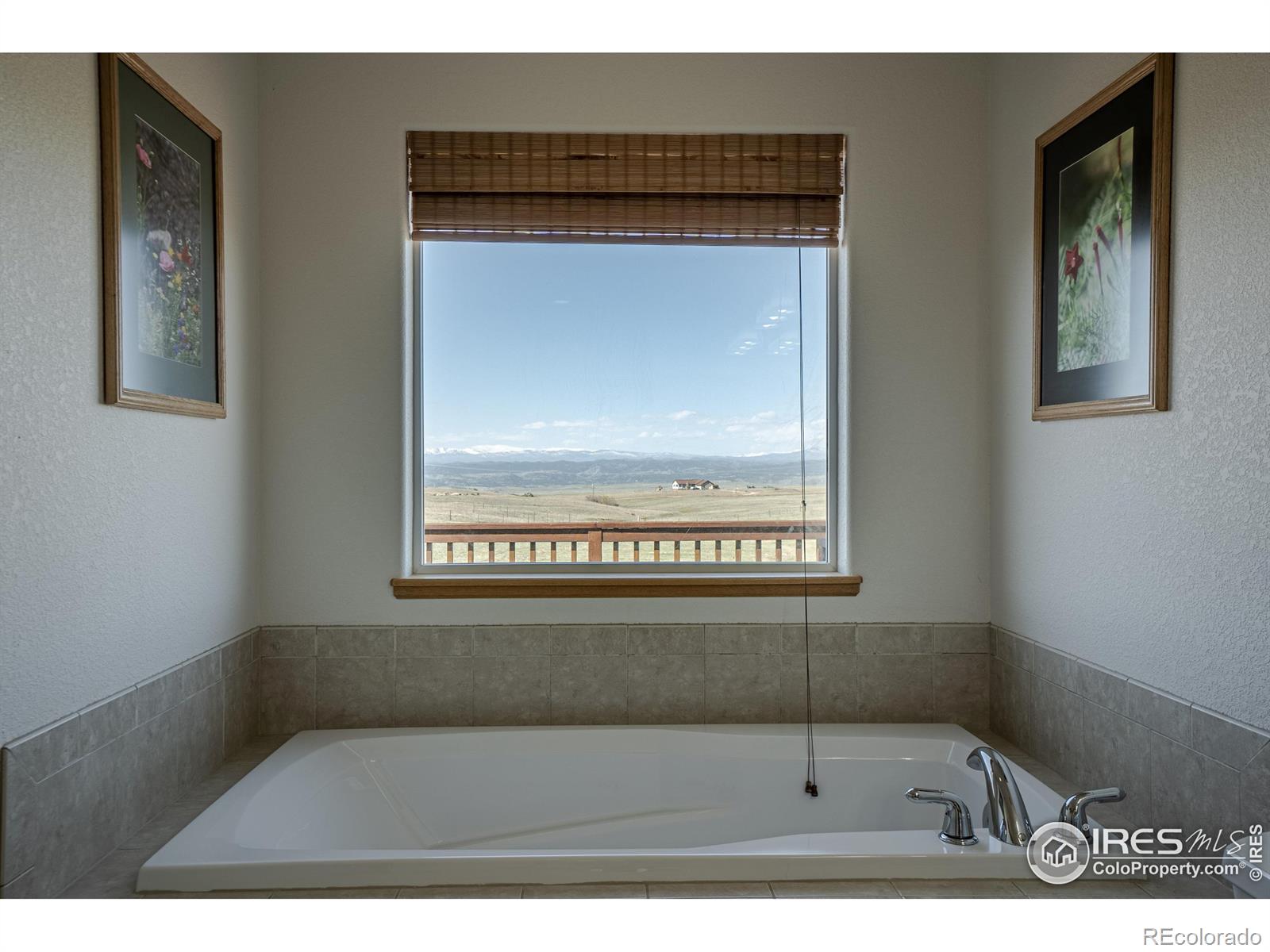 631 Linecamp Drive Livermore CO 80536