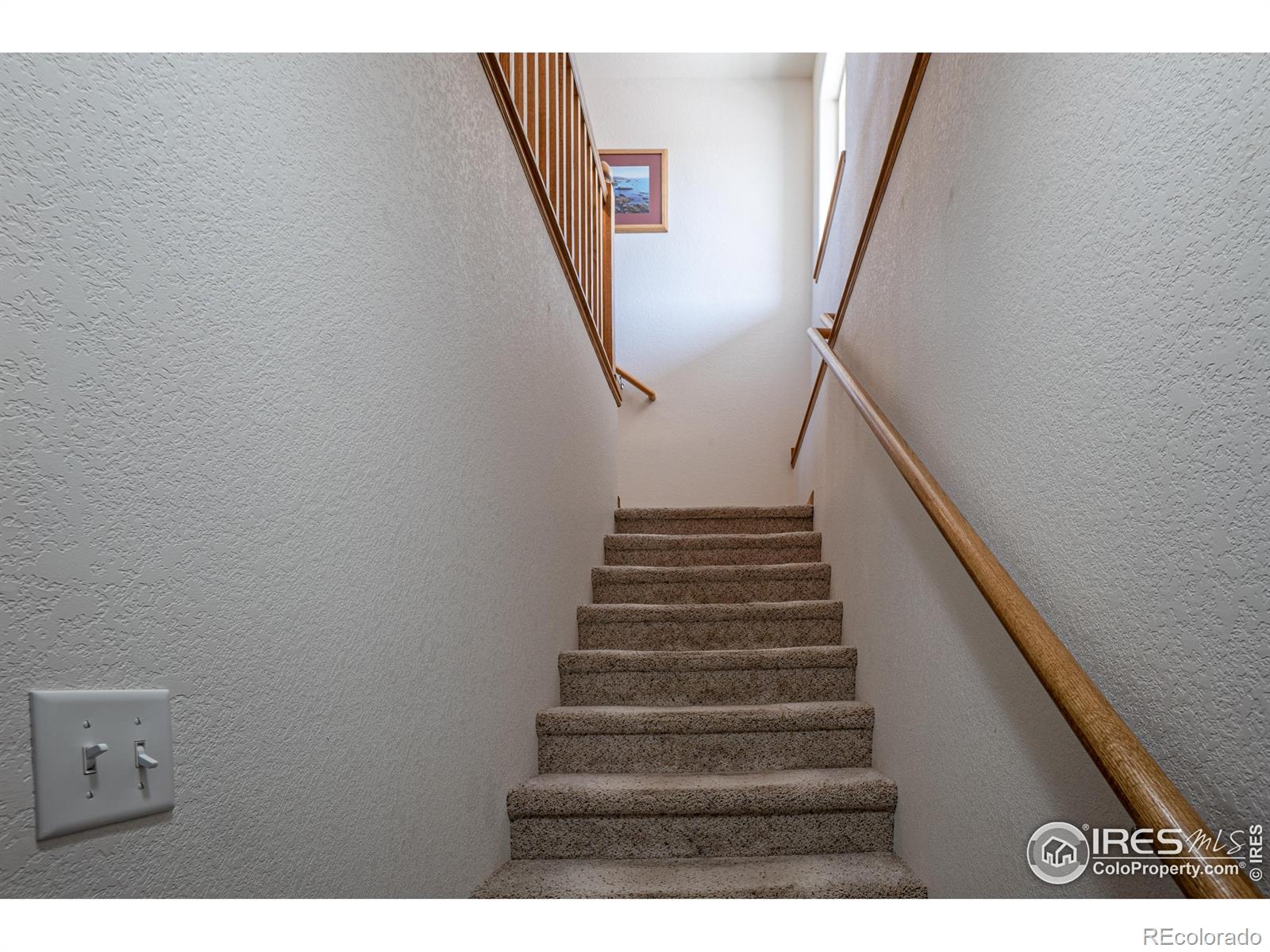 631 Linecamp Drive Livermore CO 80536