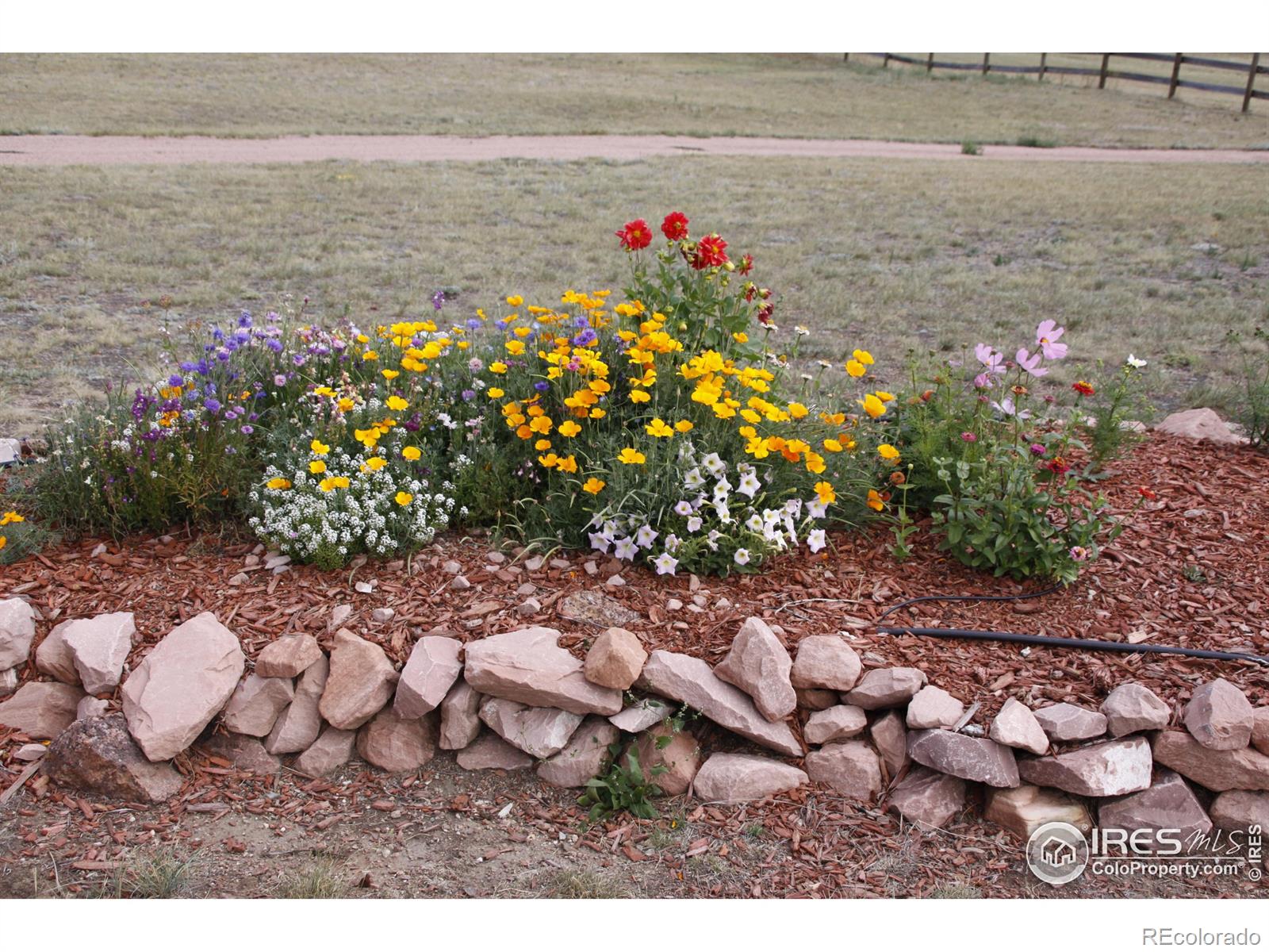 631 Linecamp Drive Livermore CO 80536