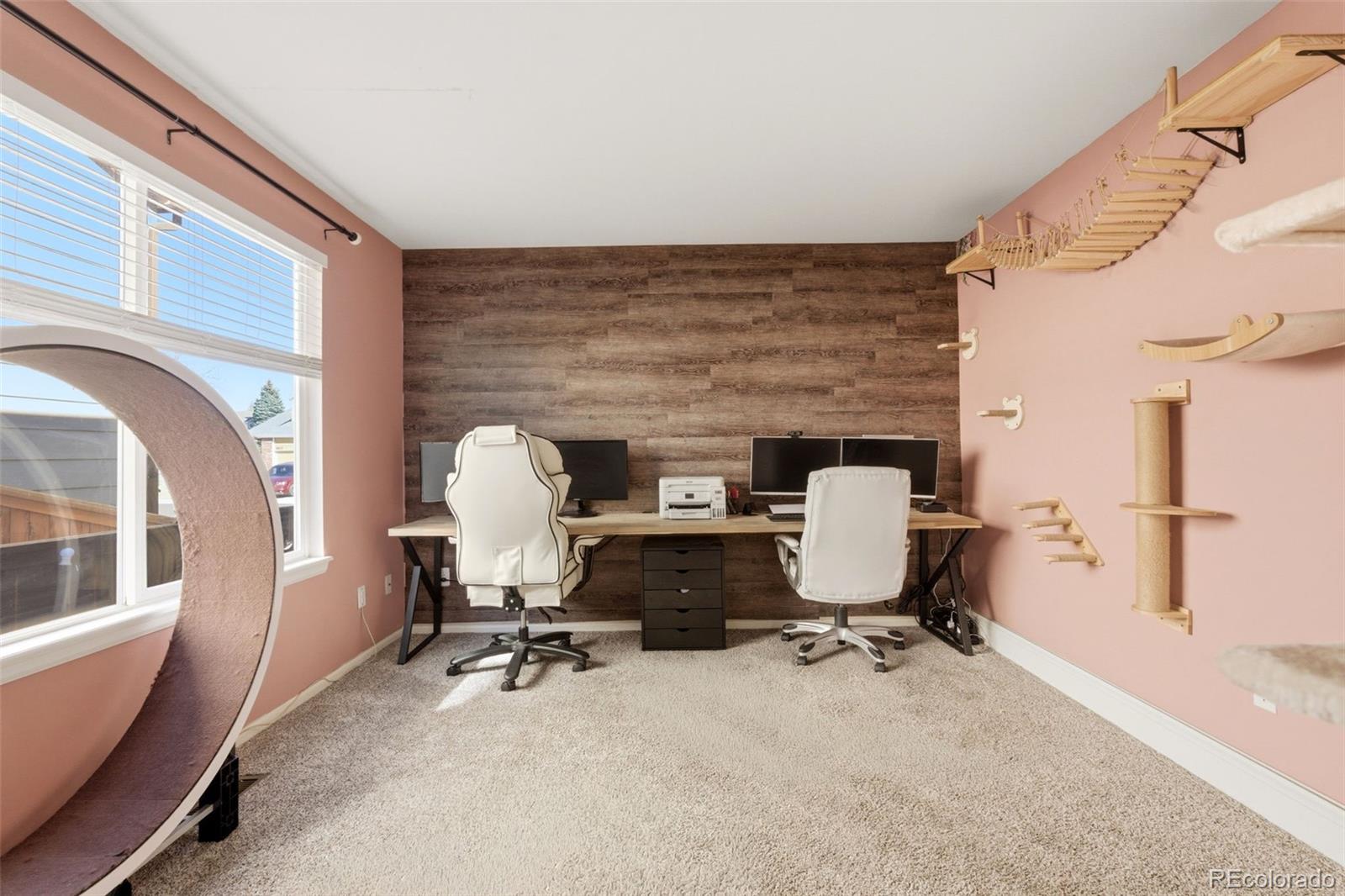 4844 Apollo Bay Drive Highlands Ranch CO 80130
