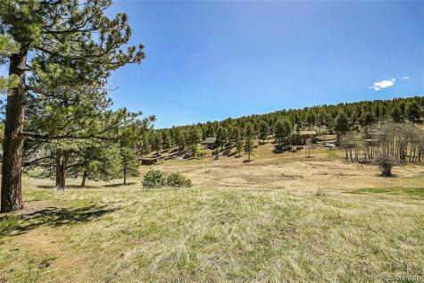 29858 Gigi Drive Evergreen CO 80439