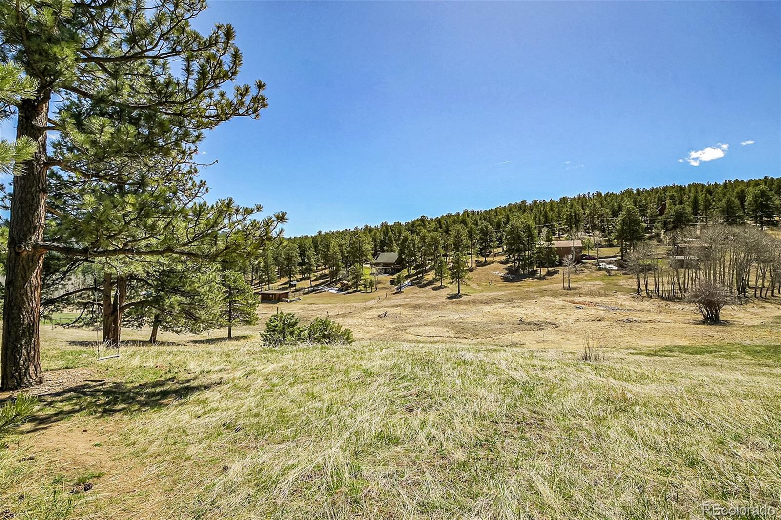 29858 Gigi Drive Evergreen CO 80439