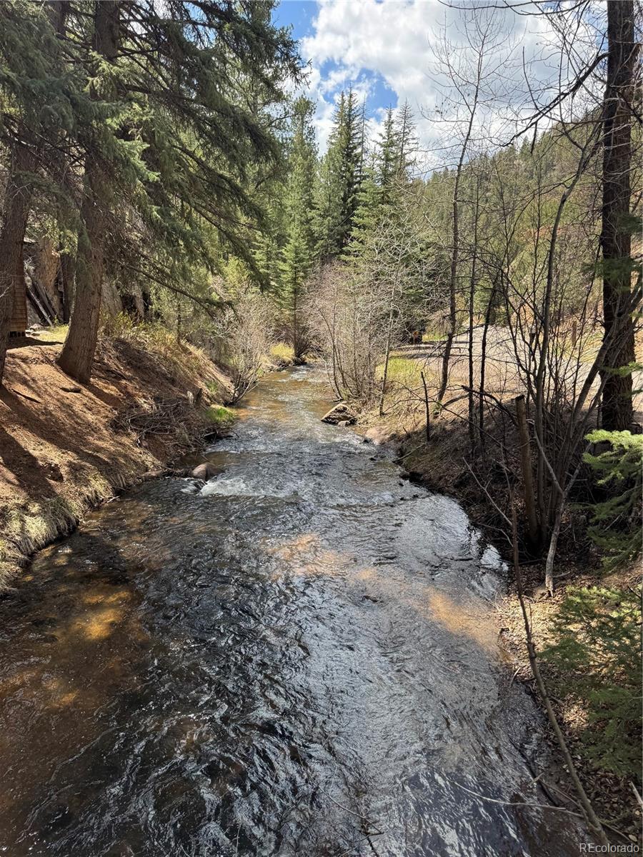 15751 S Elk Creek Road S Pine CO 80470