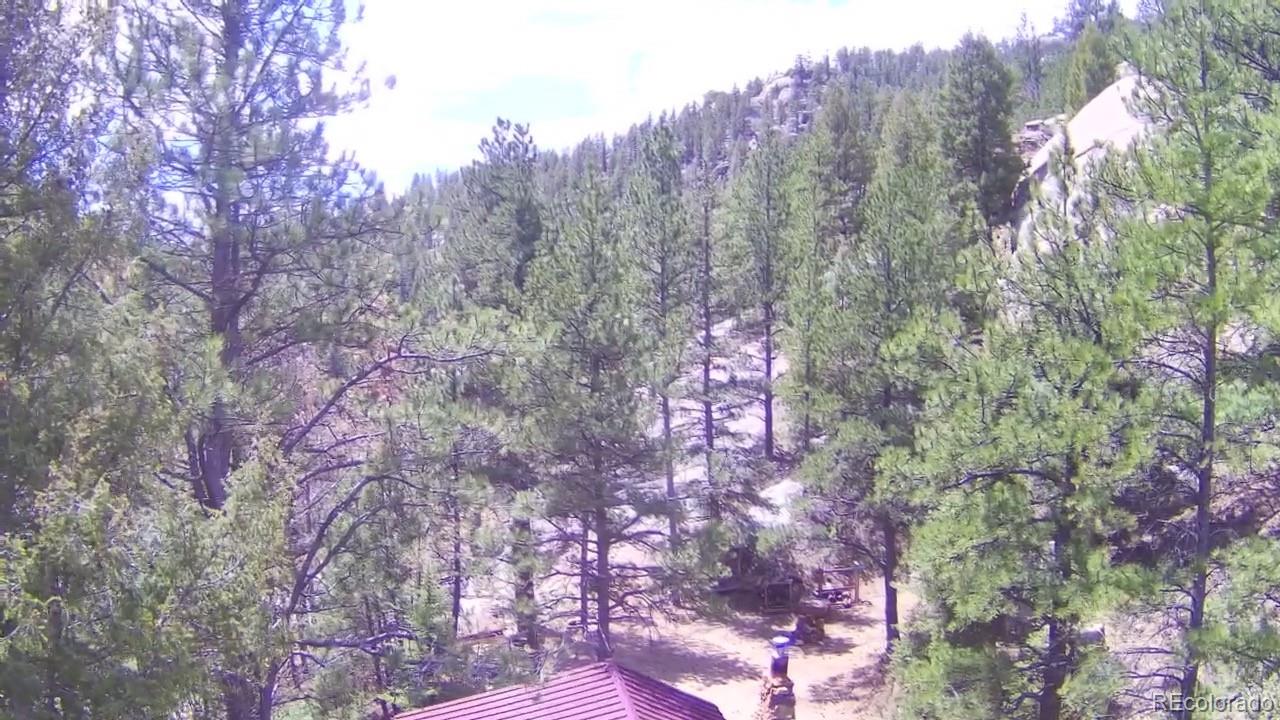 15751 S Elk Creek Road S Pine CO 80470