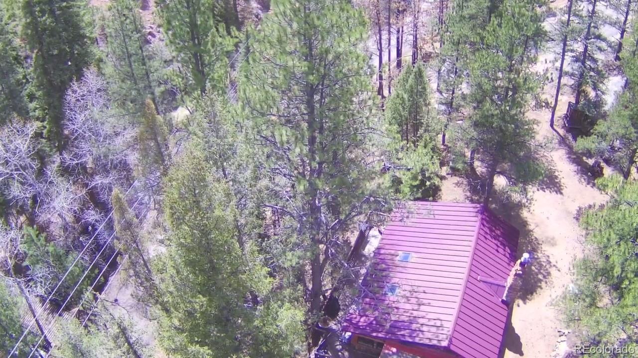 15751 S Elk Creek Road S Pine CO 80470