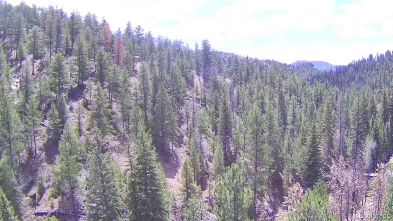 15751 S Elk Creek Road S Pine CO 80470