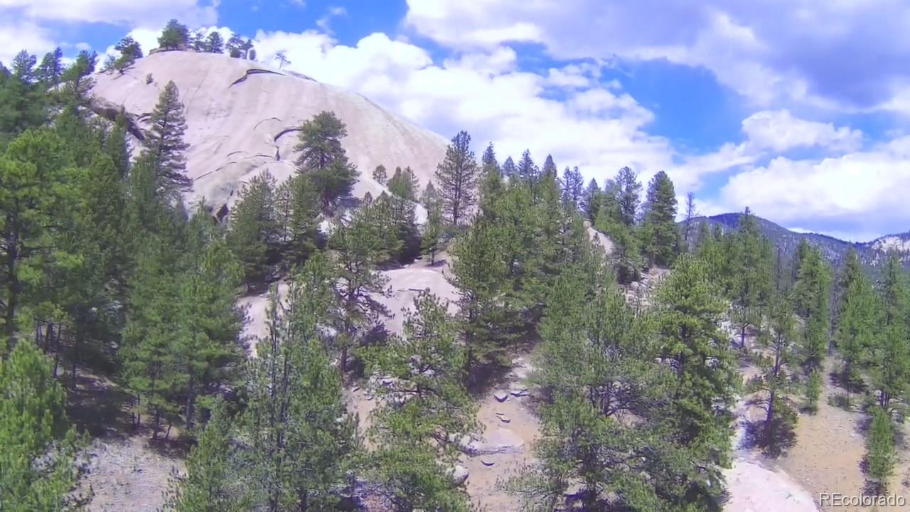 15751 S Elk Creek Road S Pine CO 80470