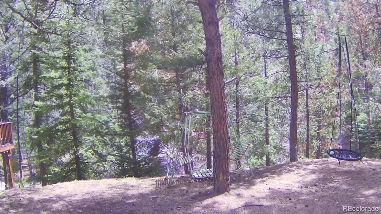 15751 S Elk Creek Road S Pine CO 80470