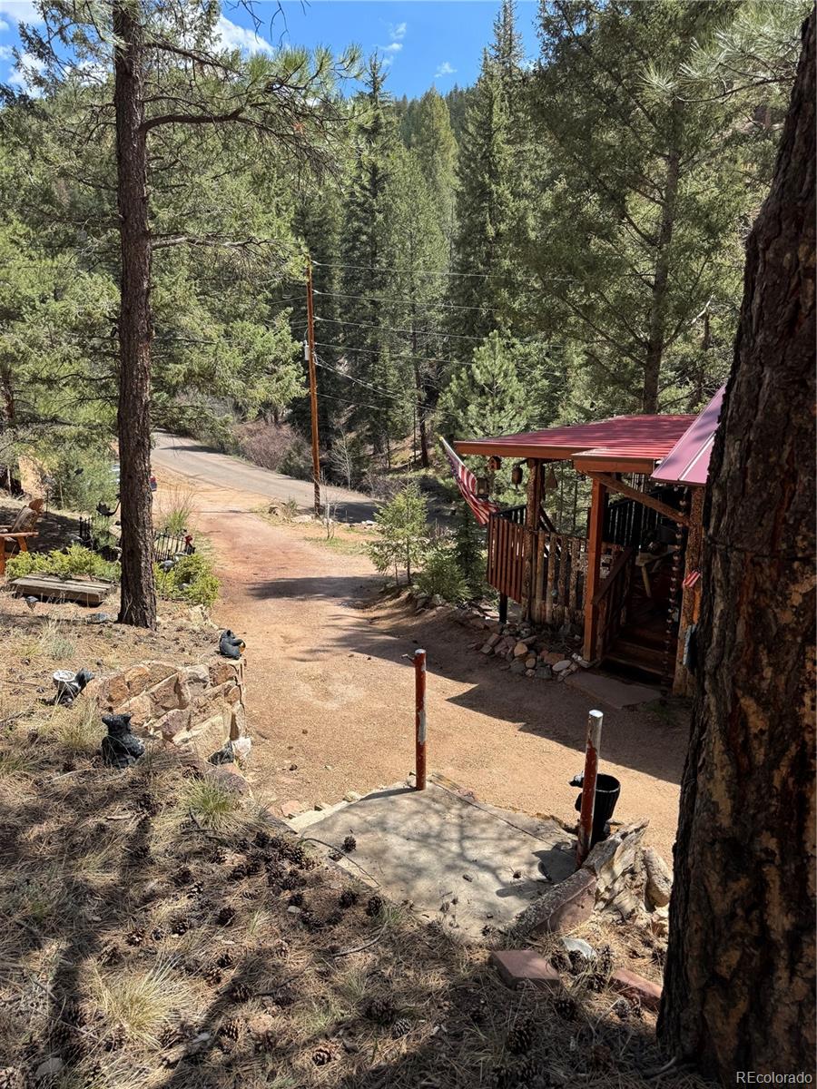 15751 S Elk Creek Road S Pine CO 80470