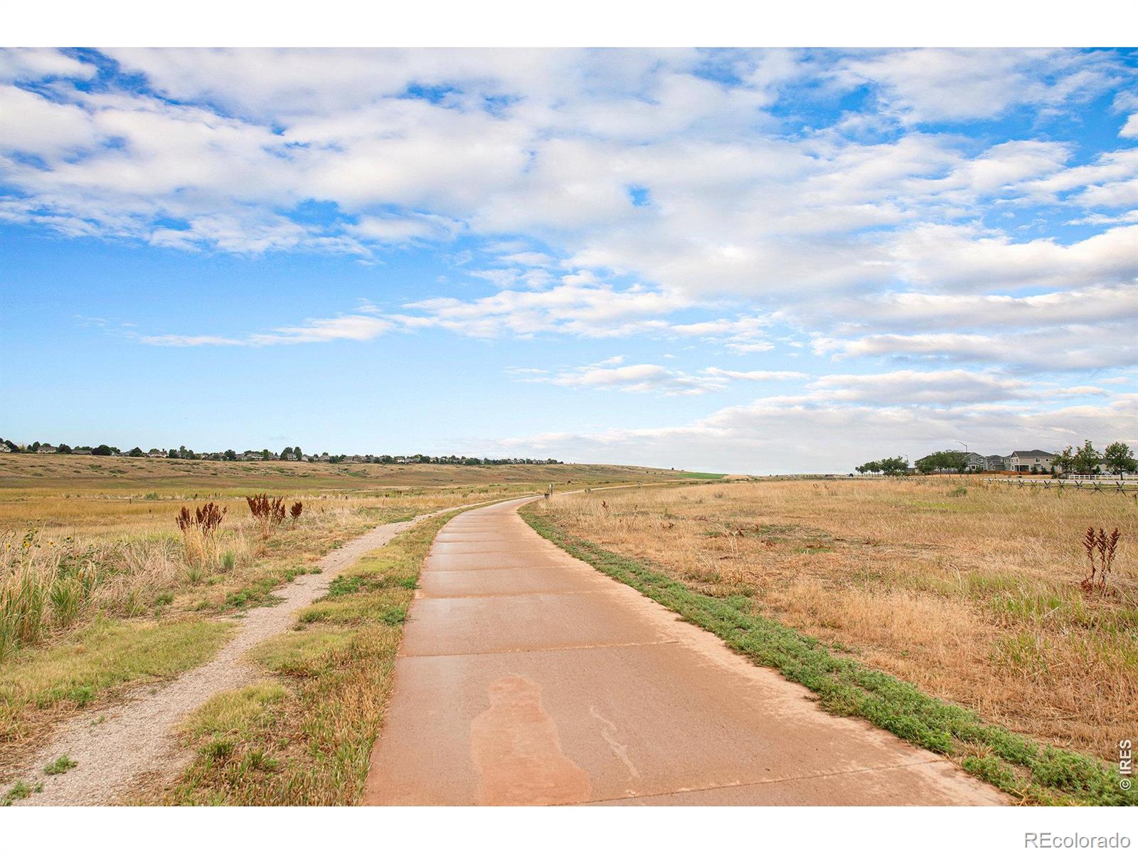 1345 Forrestal Drive Fort Collins CO 80526