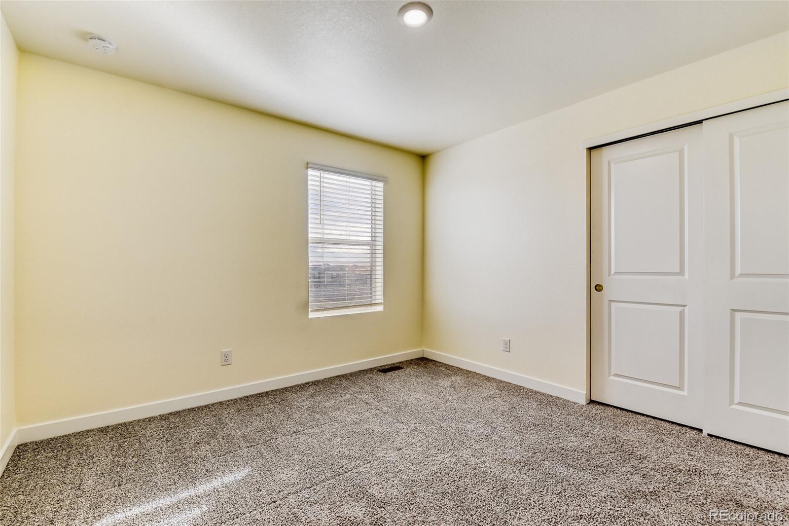 7438 E 157th Avenue Thornton CO 80602