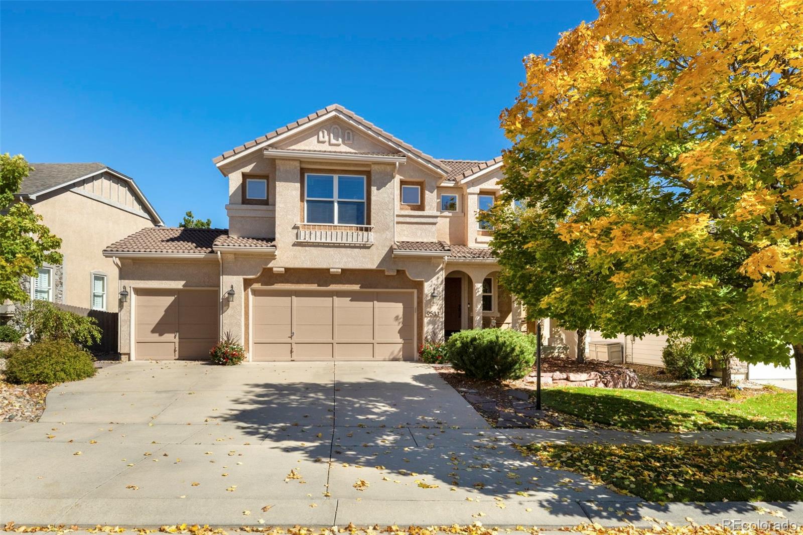 9533 Newport Plum Court Colorado Springs CO 80920