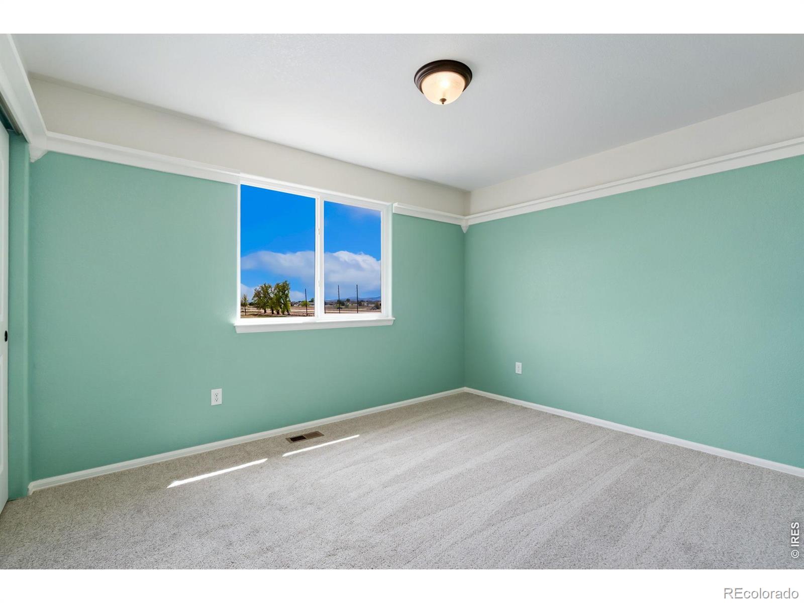 4113 White Deer Lane Wellington CO 80549