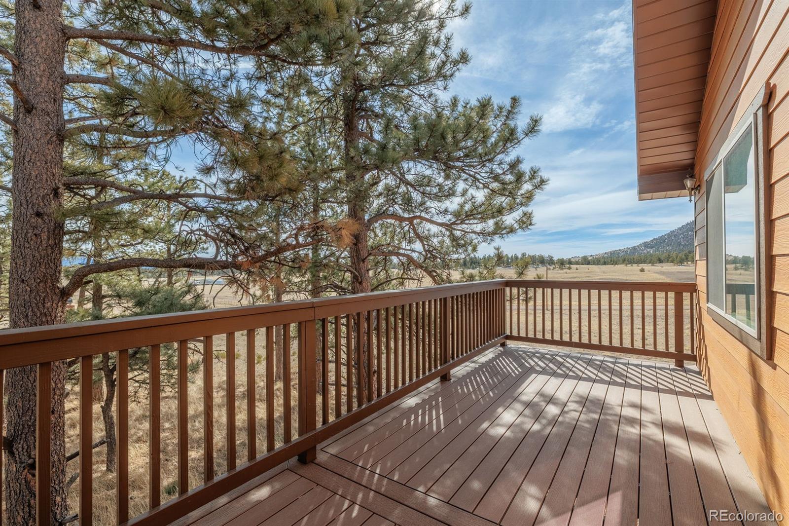 345 Meadow Lane Guffey CO 80820