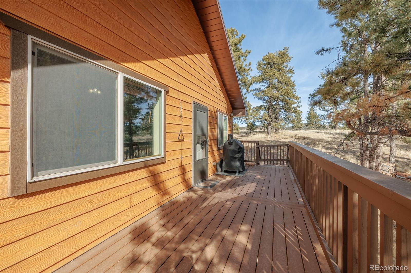 345 Meadow Lane Guffey CO 80820