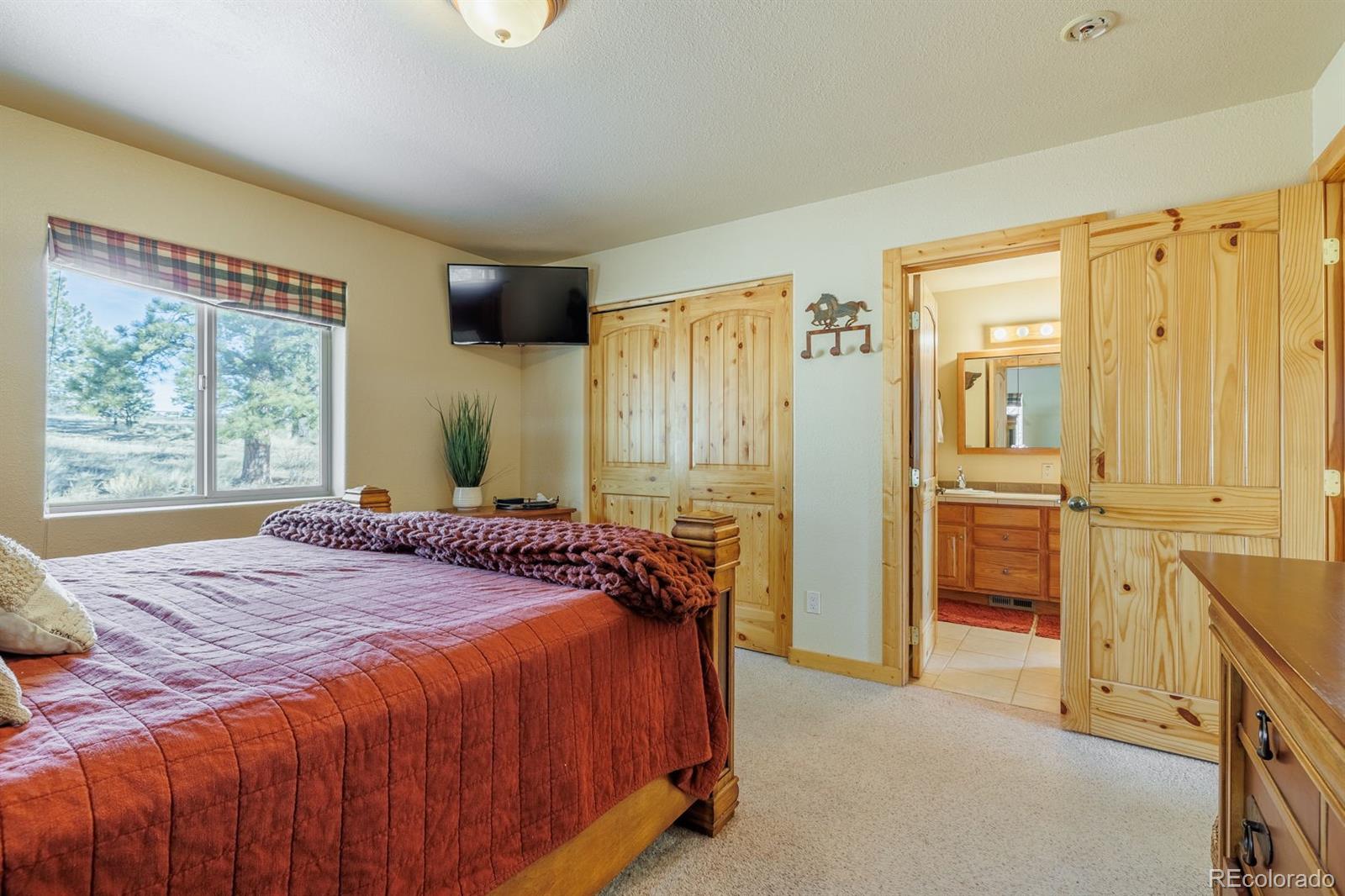 345 Meadow Lane Guffey CO 80820