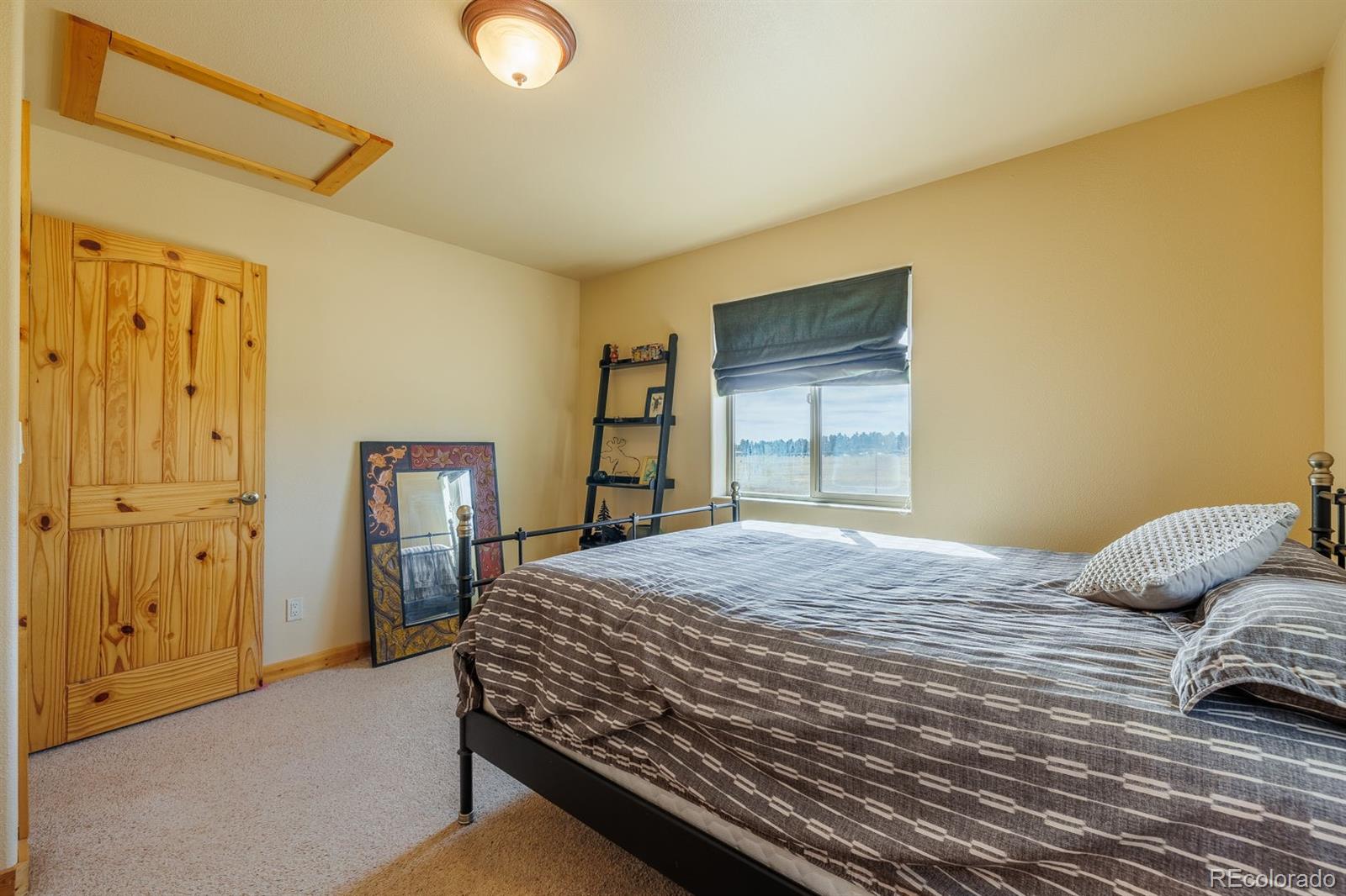 345 Meadow Lane Guffey CO 80820