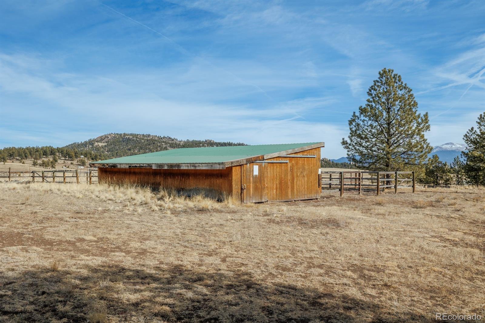 345 Meadow Lane Guffey CO 80820