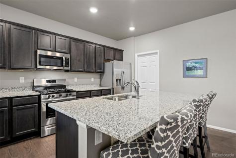 2107 Shadow Creek Drive Castle Rock CO 80104