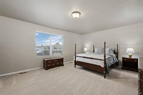 2107 Shadow Creek Drive Castle Rock CO 80104