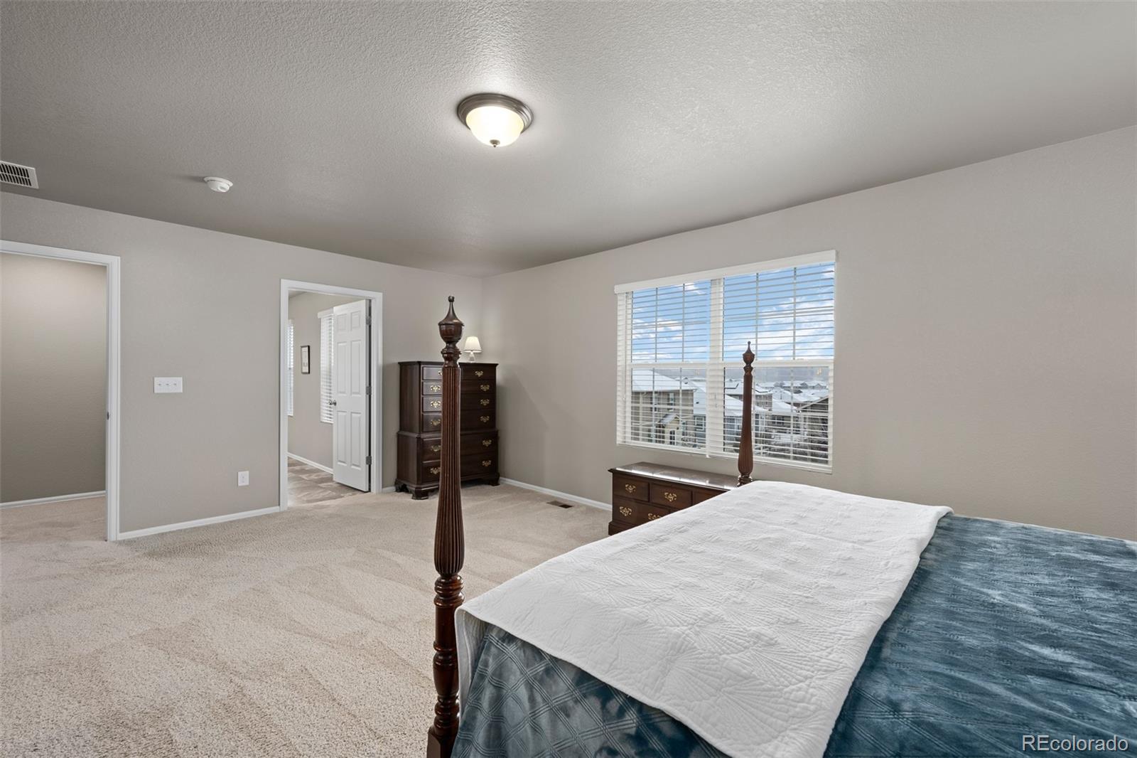 2107 Shadow Creek Drive Castle Rock CO 80104