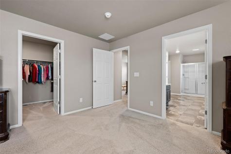 2107 Shadow Creek Drive Castle Rock CO 80104