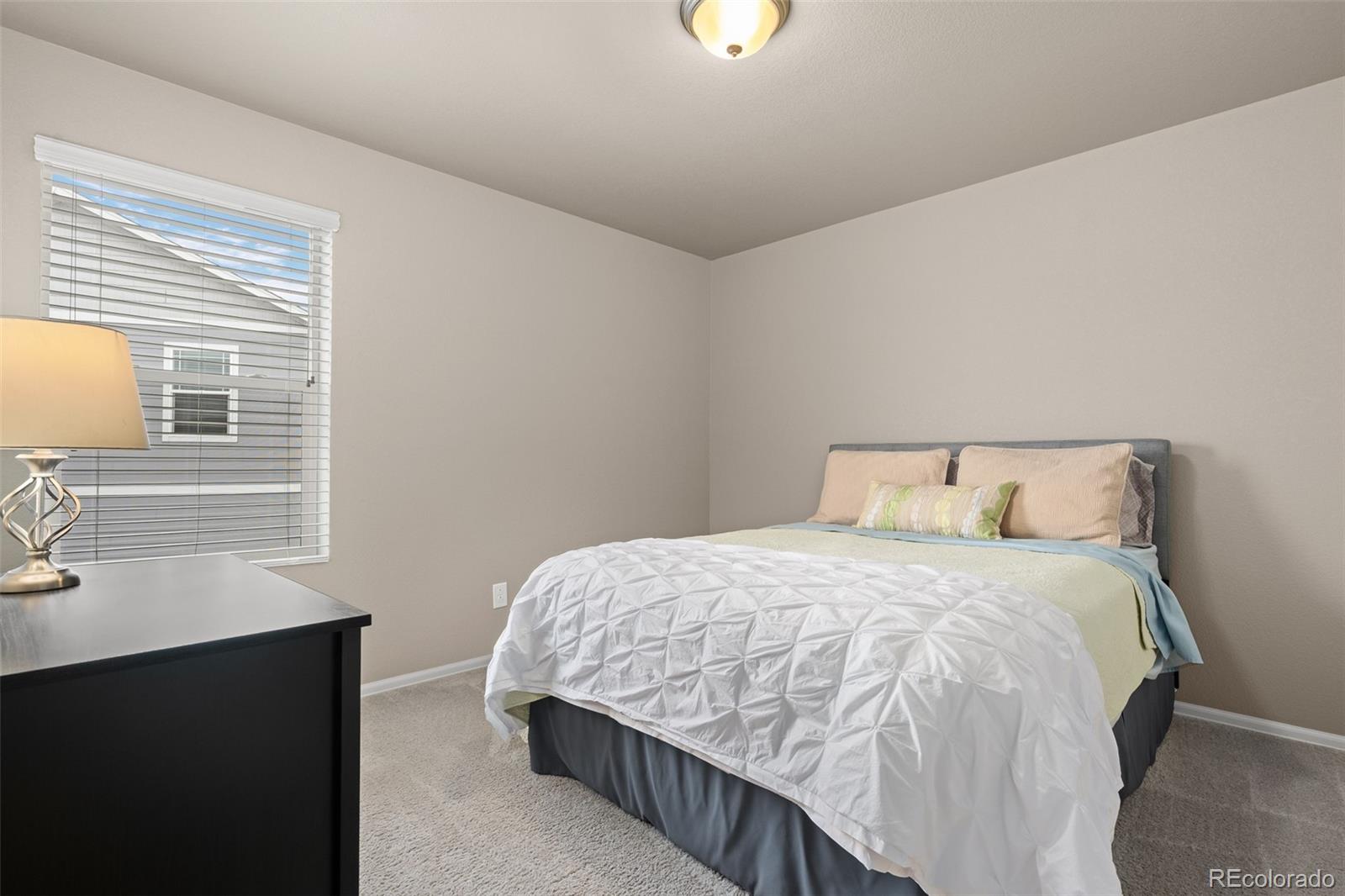 2107 Shadow Creek Drive Castle Rock CO 80104