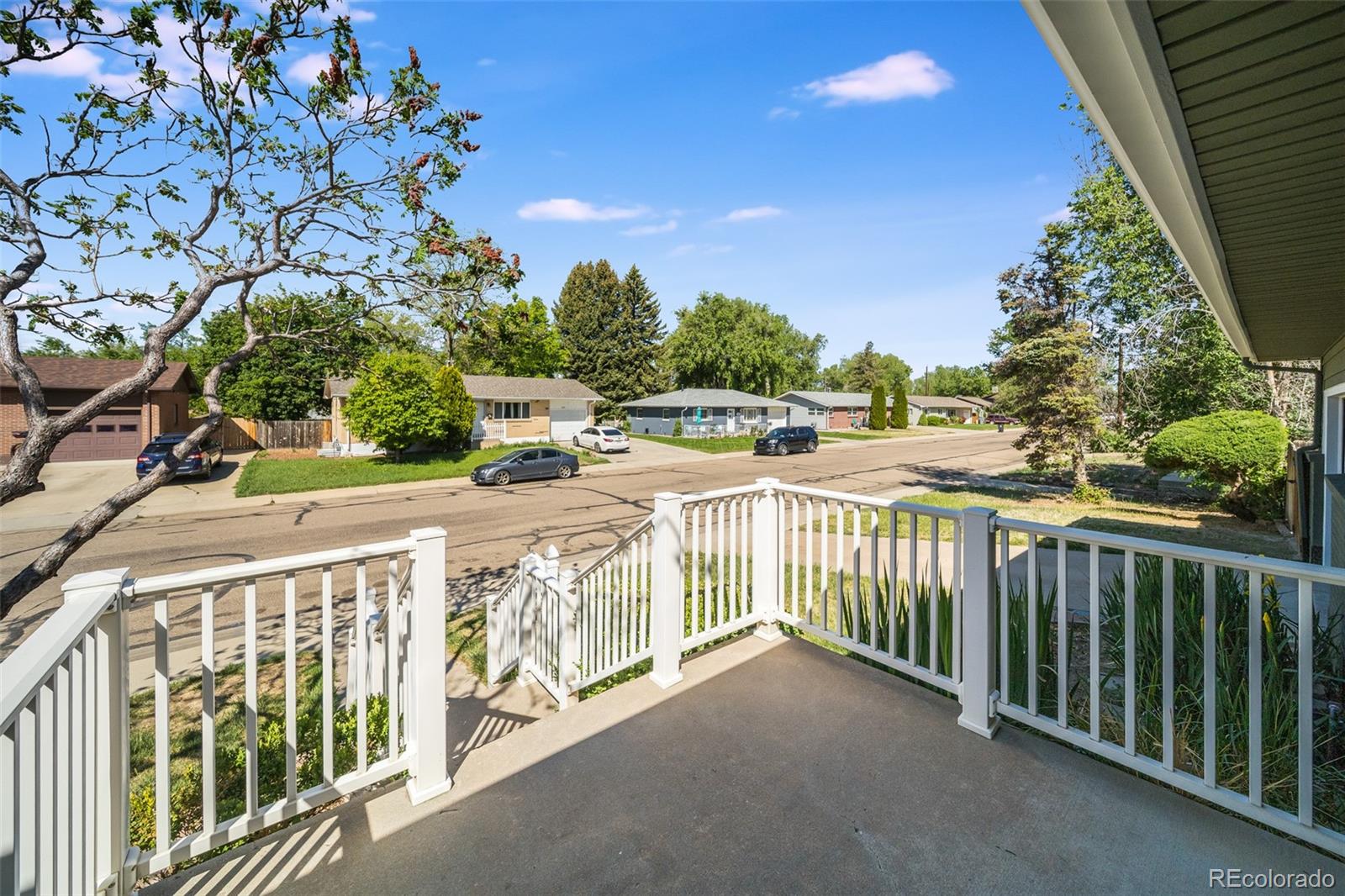 1528 Lamplighter Drive Longmont CO 80504