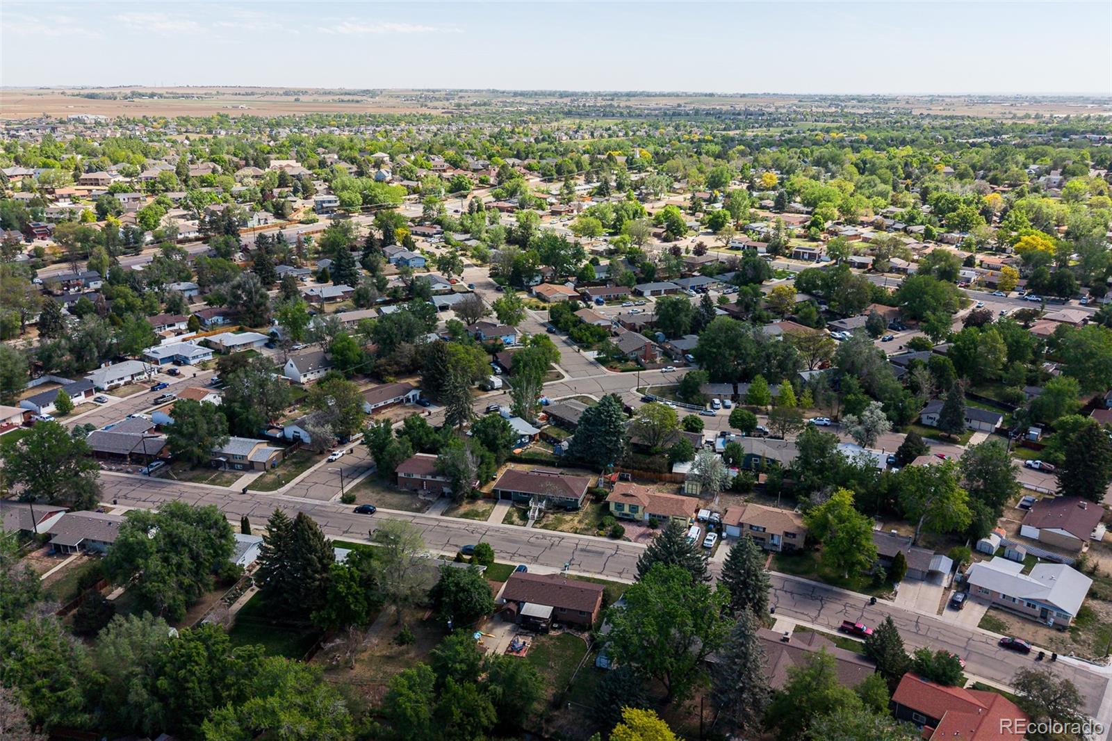 1528 Lamplighter Drive Longmont CO 80504