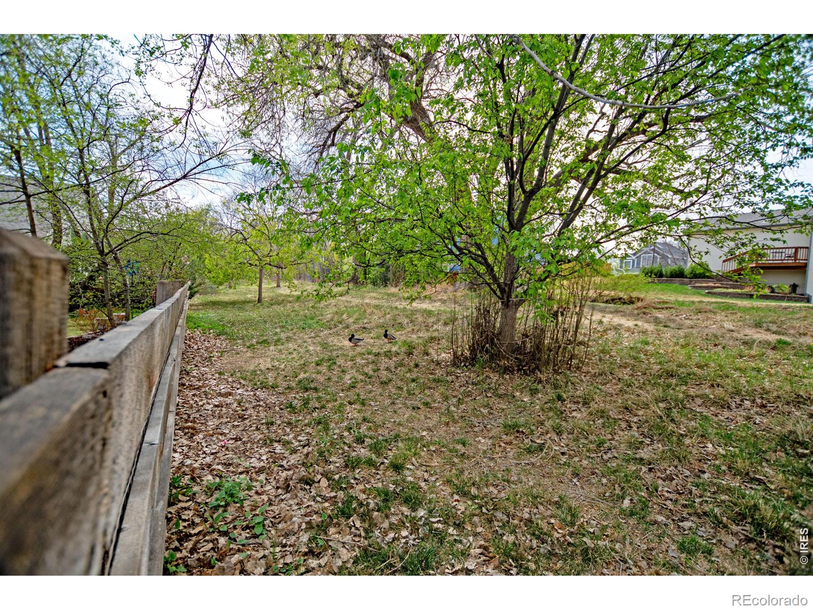 615 Americana Road Longmont CO 80504