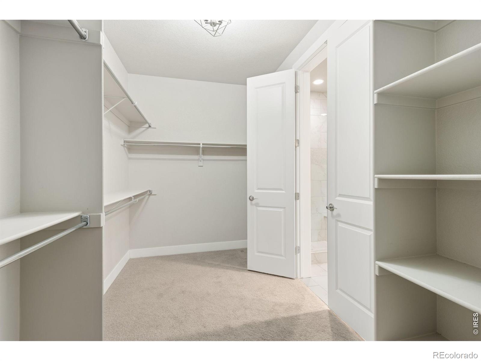 5944 Sapling Street Fort Collins CO 80528