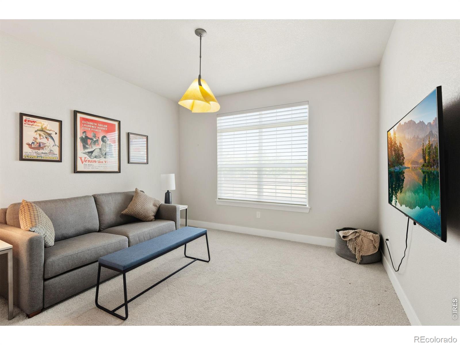 5944 Sapling Street Fort Collins CO 80528