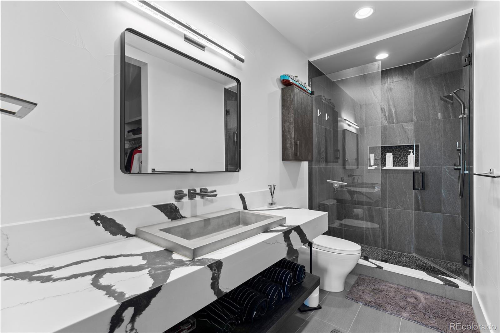 8168 Galileo Court Littleton CO 80125