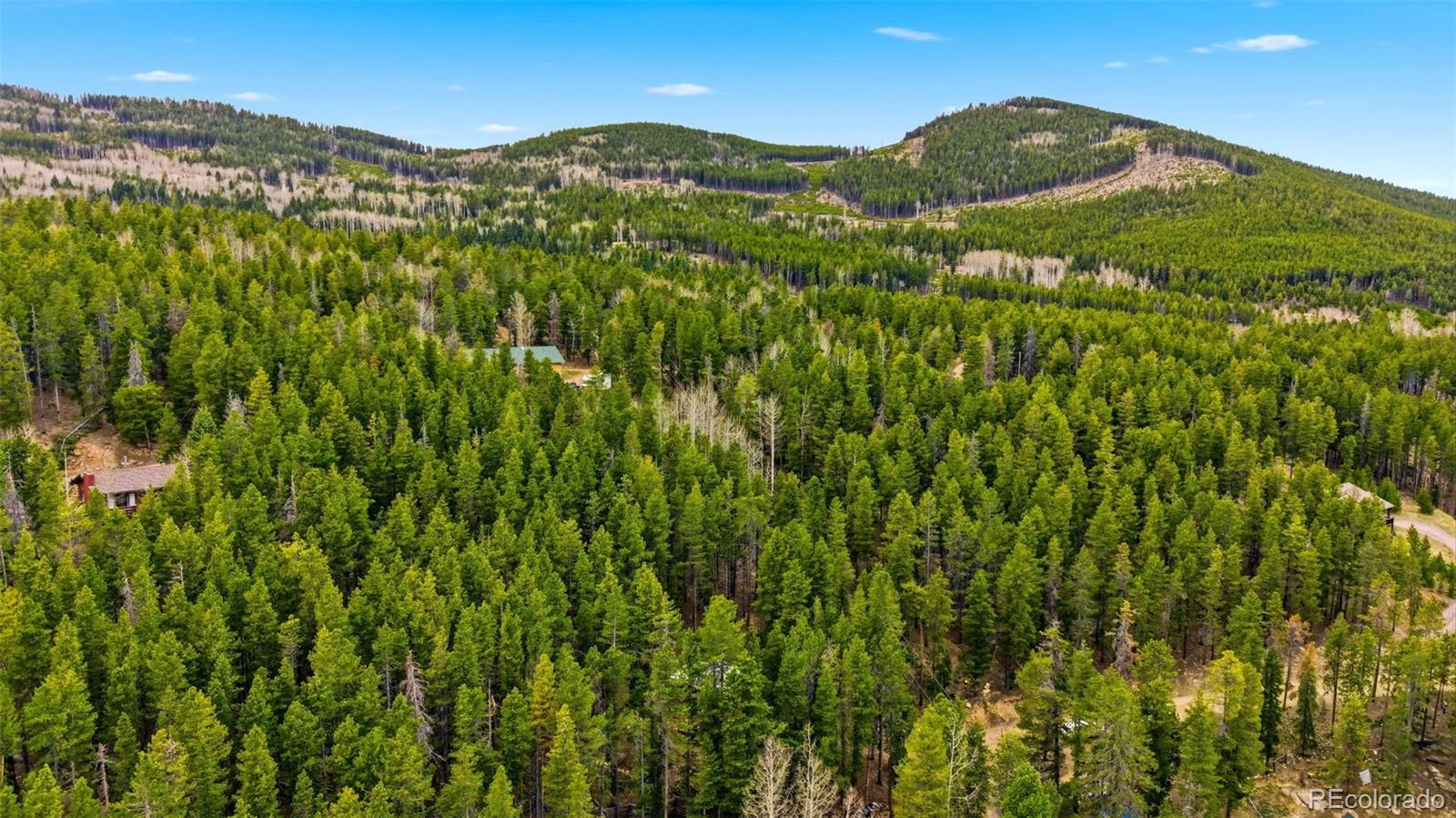 154 Apache Road Evergreen CO 80439