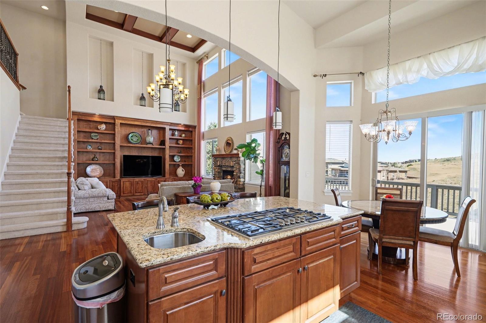 10528 Rivington Court Lone Tree CO 80124