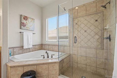 10528 Rivington Court Lone Tree CO 80124