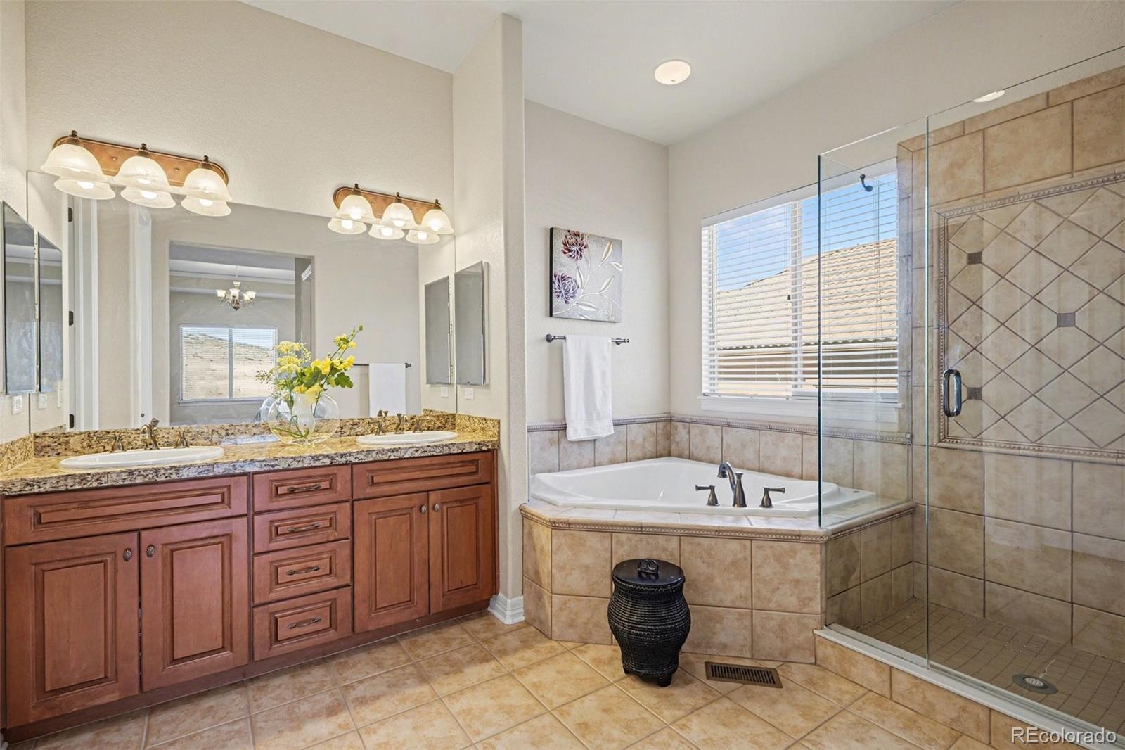 10528 Rivington Court Lone Tree CO 80124
