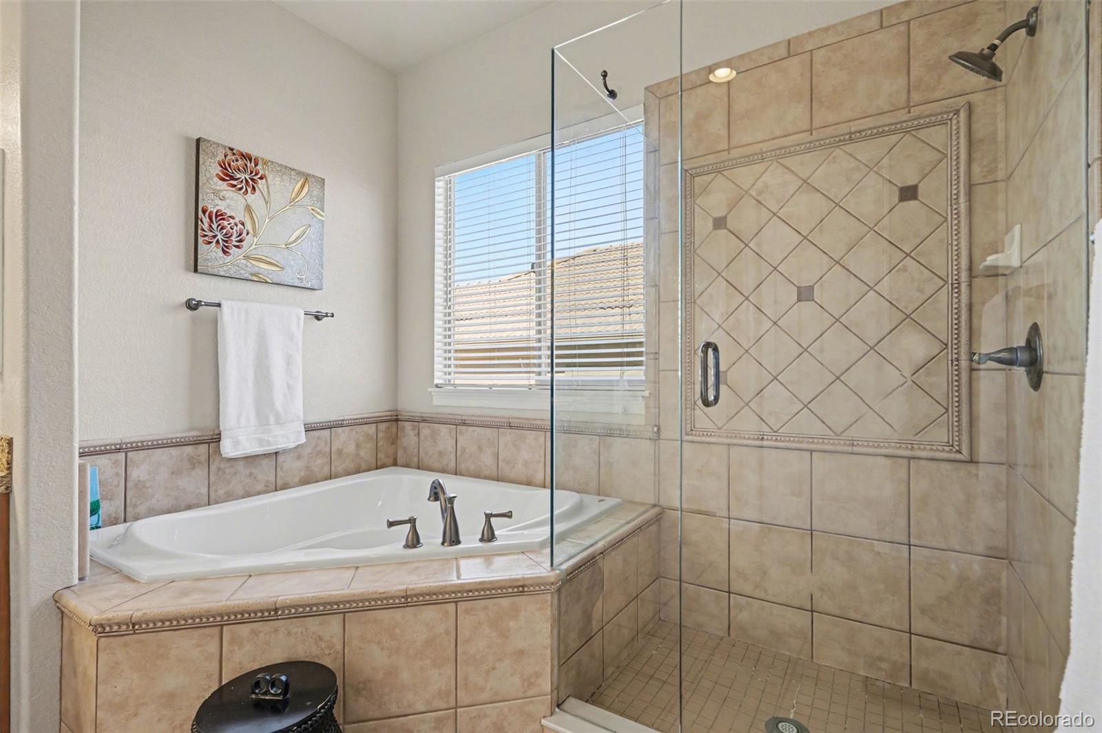10528 Rivington Court Lone Tree CO 80124