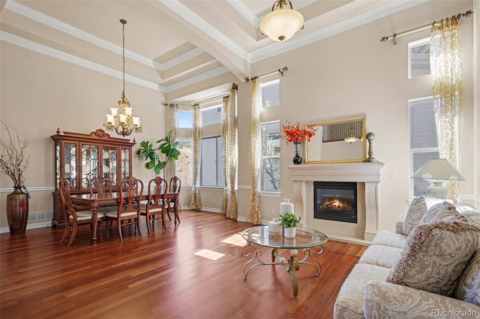 10528 Rivington Court Lone Tree CO 80124
