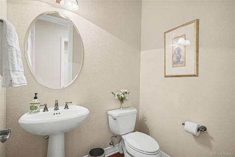 10528 Rivington Court Lone Tree CO 80124