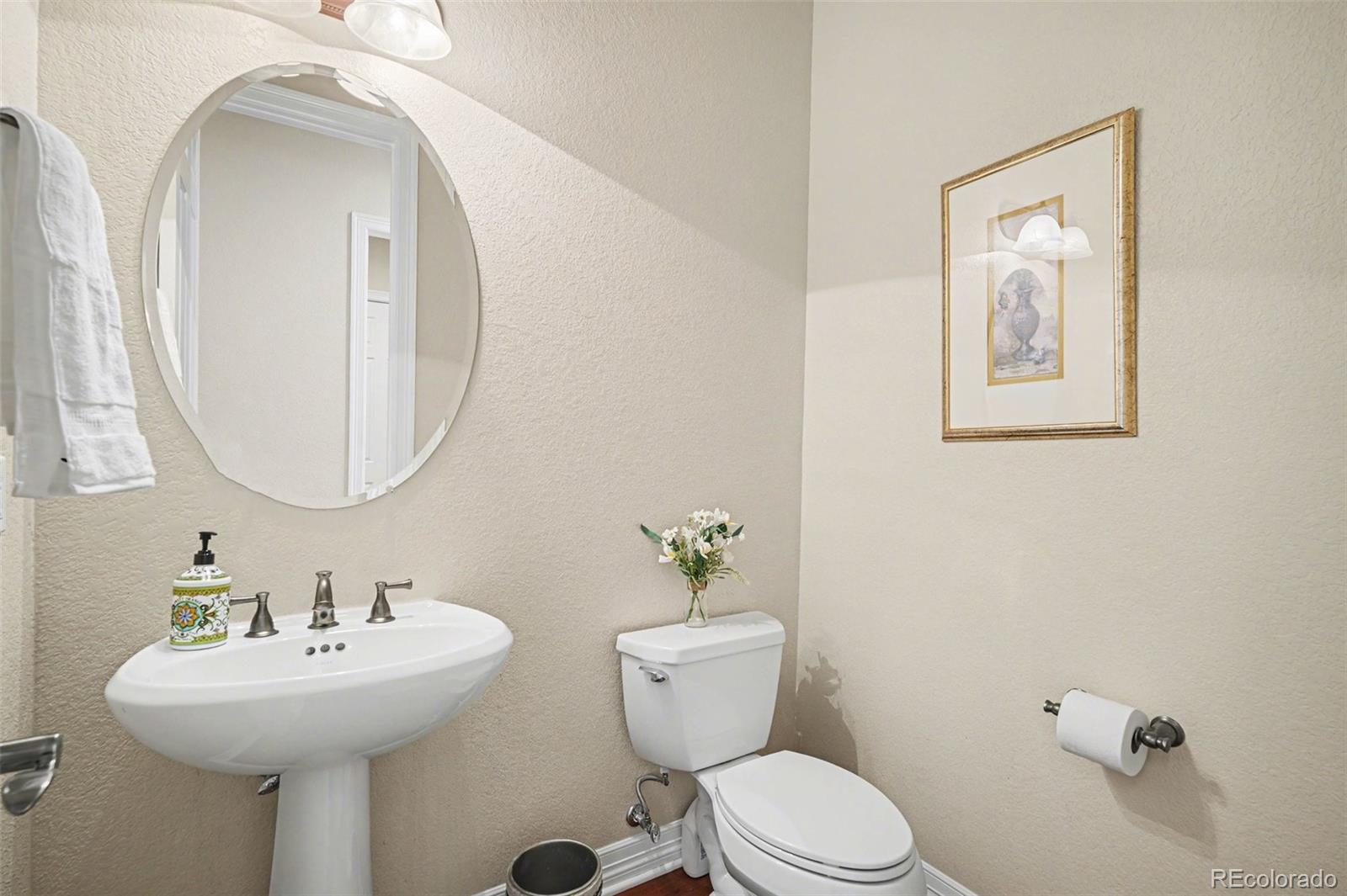 10528 Rivington Court Lone Tree CO 80124